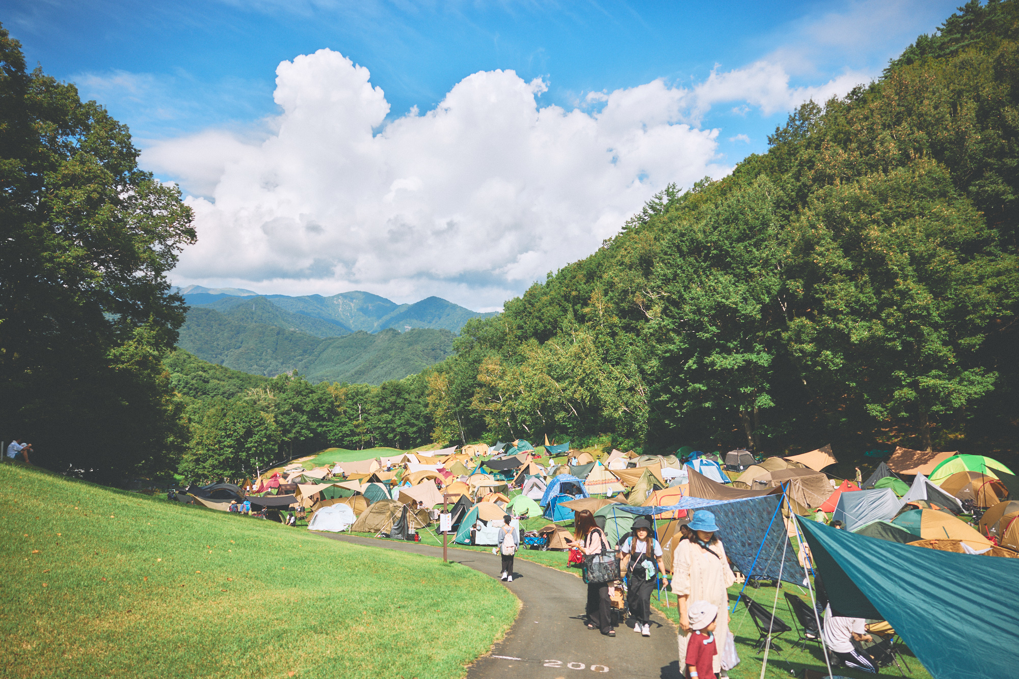 New Acoustic Camp 2024 / WEB、SNS、PR、OFFICIAL BAR